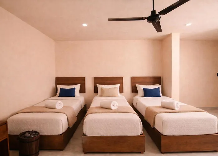 Cisne Luxury House *